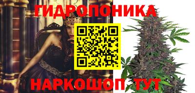 дмт Дубна