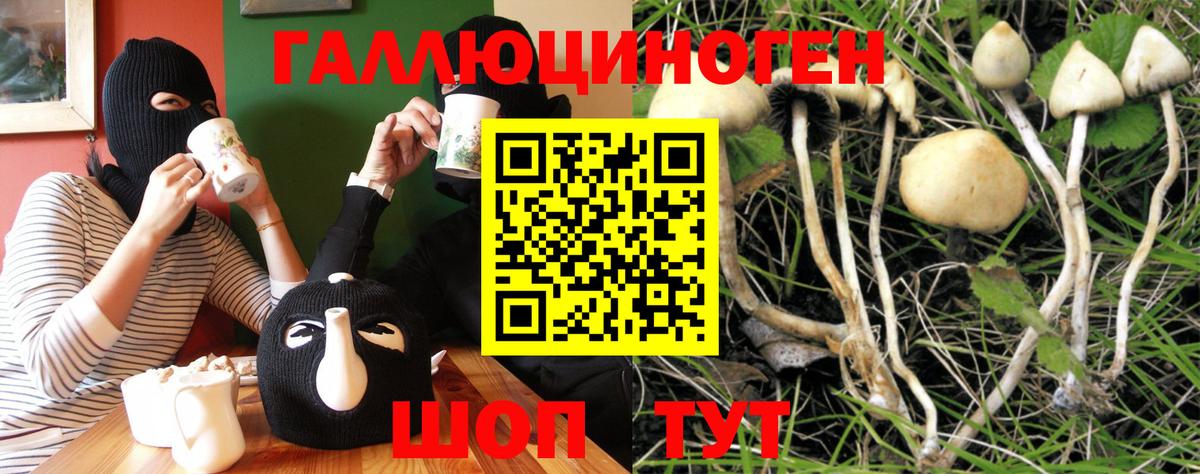 Галлюциногенные грибы Psilocybe  Вход с VPN  магазин  наркотиков  Кирово-Чепецк 
